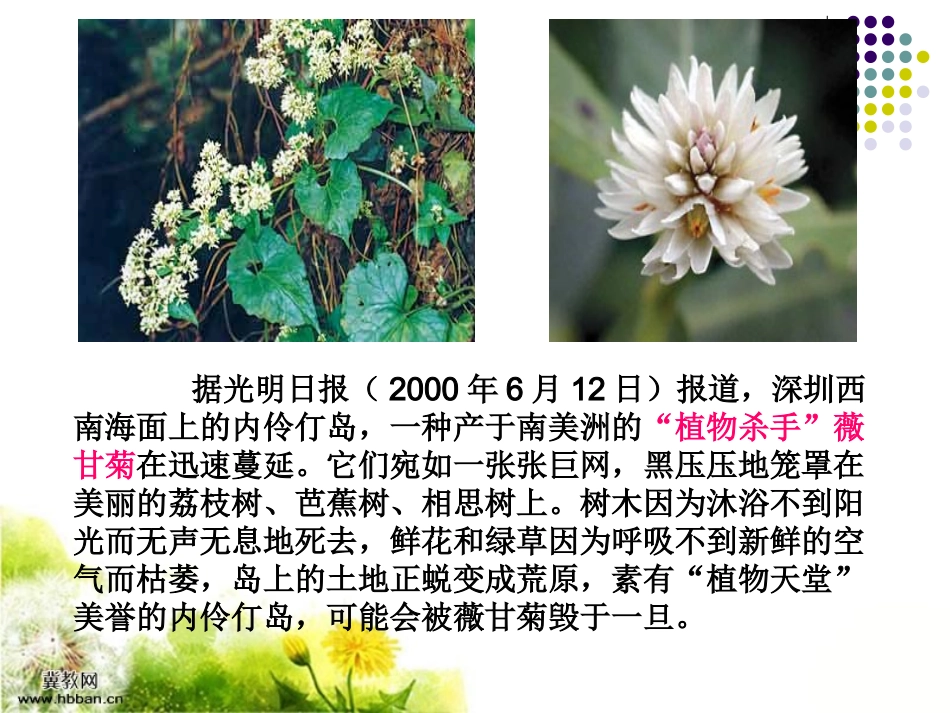 《生物入侵者》公开课课件[1]_第2页