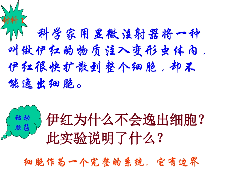 细胞膜系统的边界_第2页