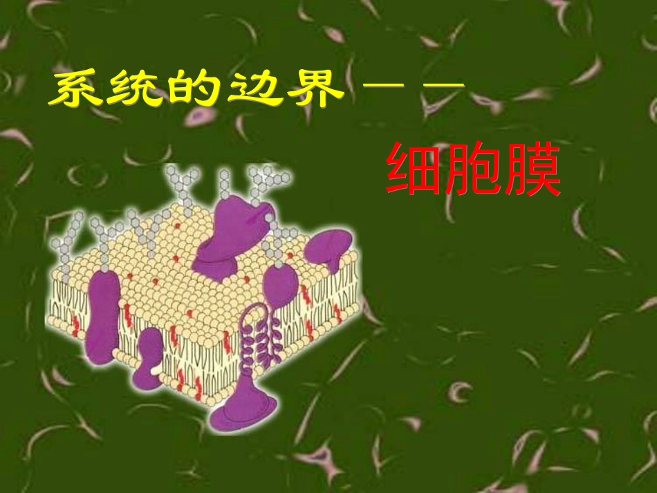 细胞膜系统的边界_第3页