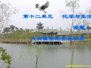 人类重要的营养物质