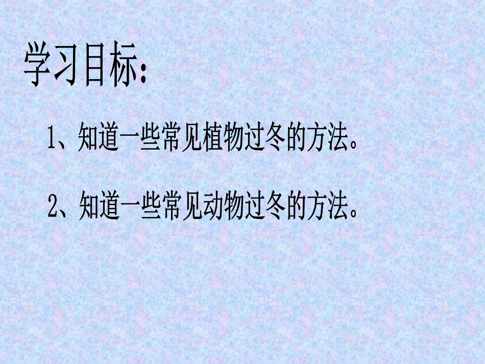 动植物怎样过冬_第2页