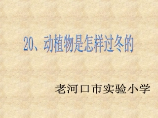 动植物怎样过冬