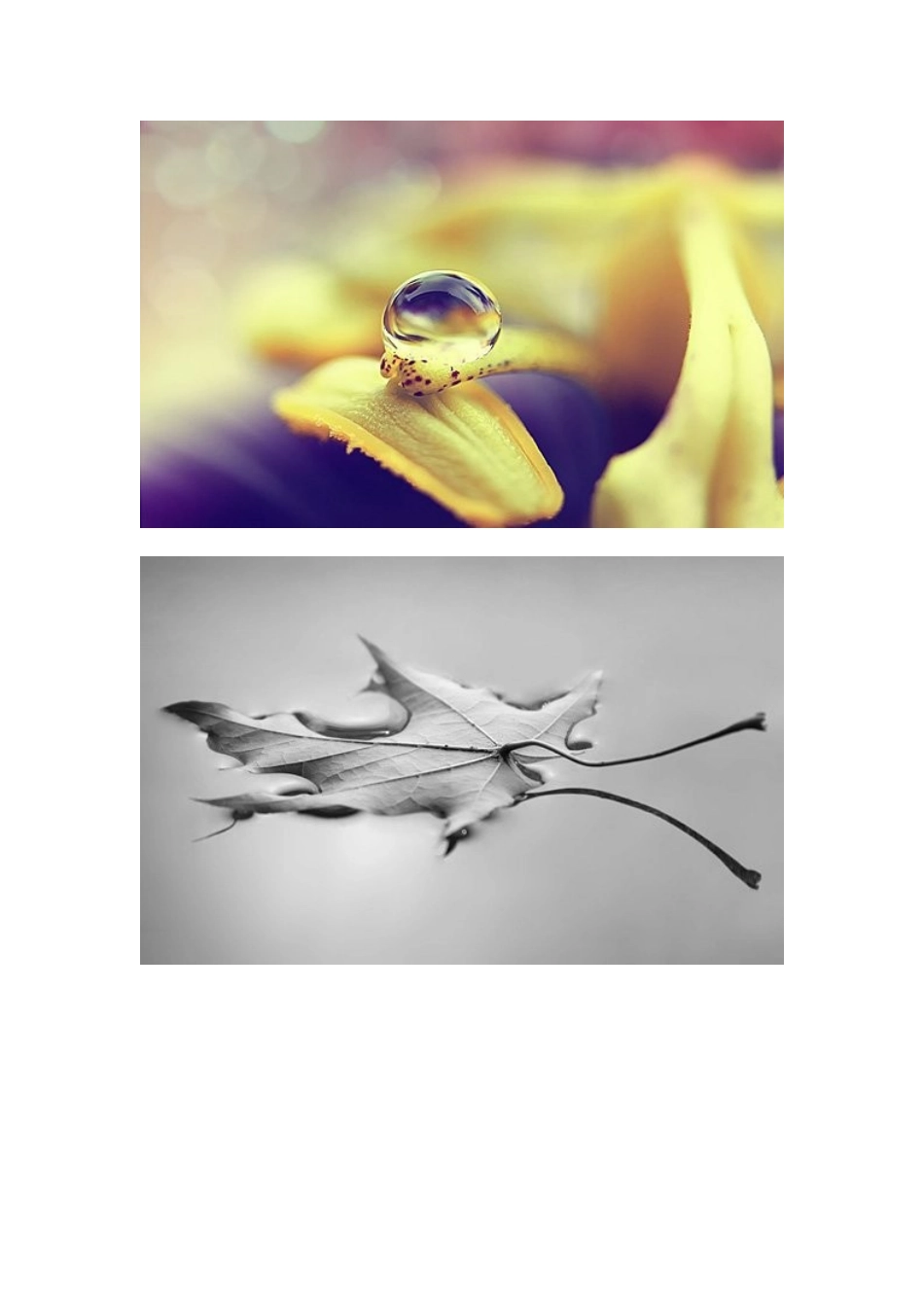 发现生活之美_第2页