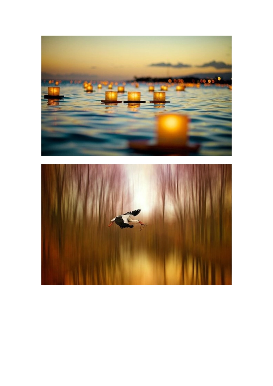 发现生活之美_第3页