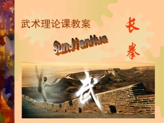 武术理论课教案（长拳）