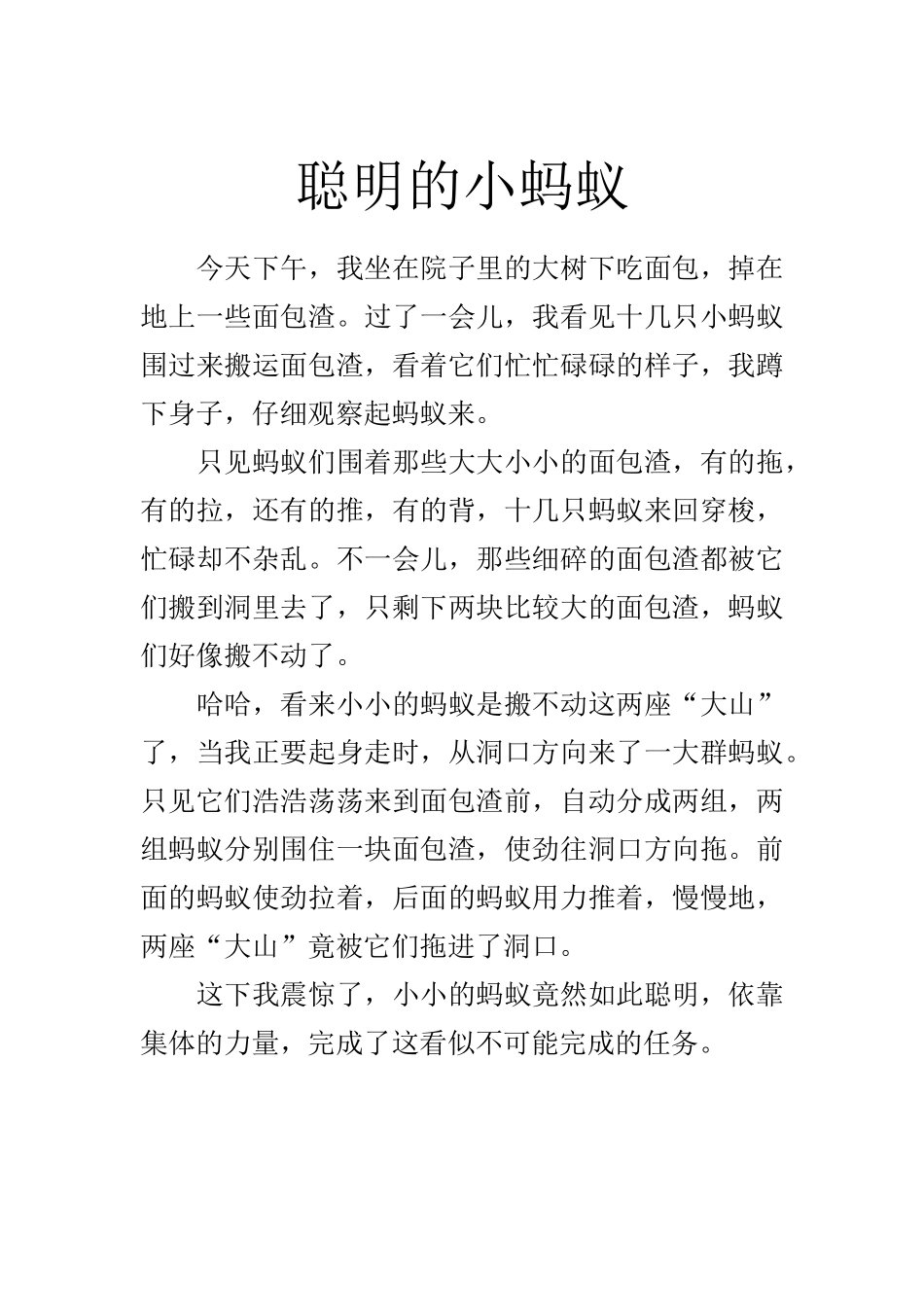 聪明的小蚂蚁_第1页