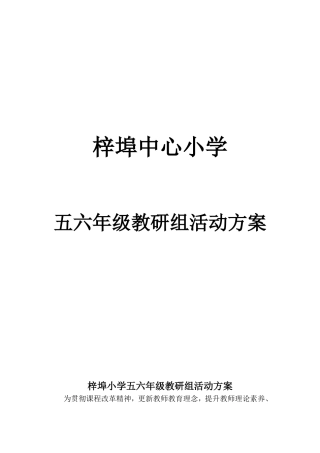 五六年级教研组活动方案