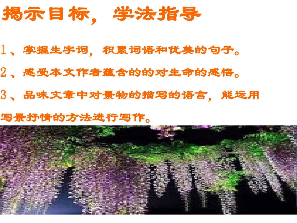 《紫藤萝瀑布》课件_第2页