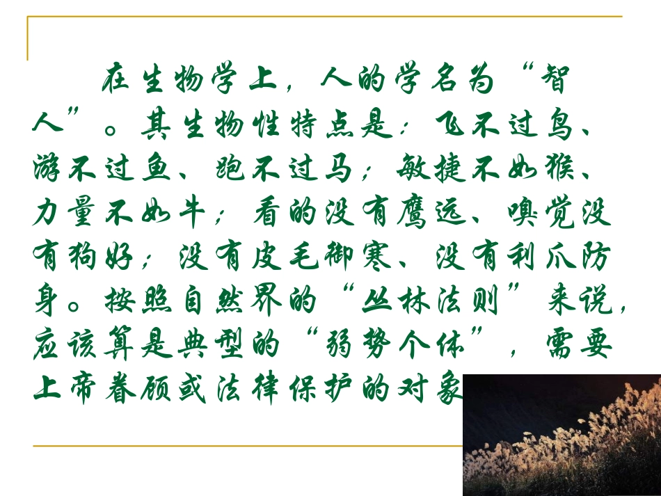 人是能思想的苇草_第3页