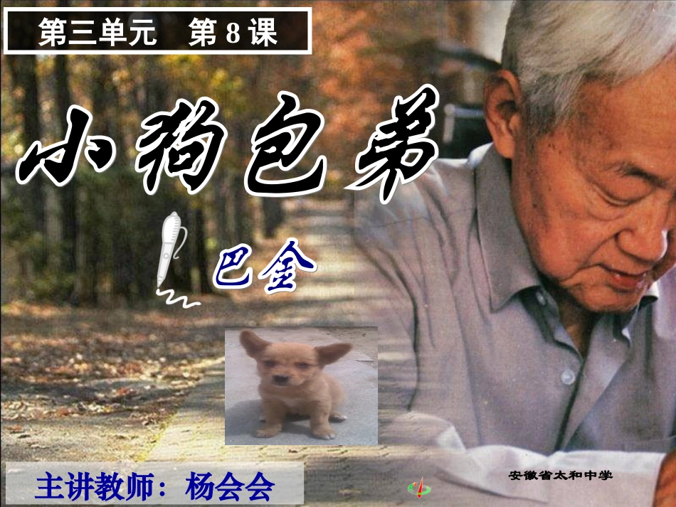 《小狗包弟》公开课优秀教案_第1页