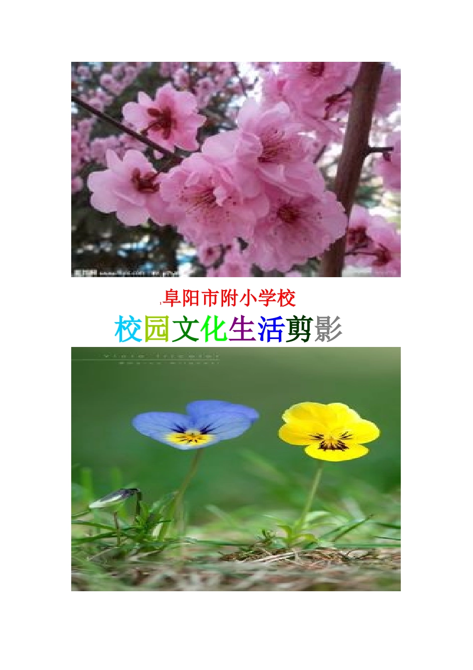阜阳市附小学校_第1页