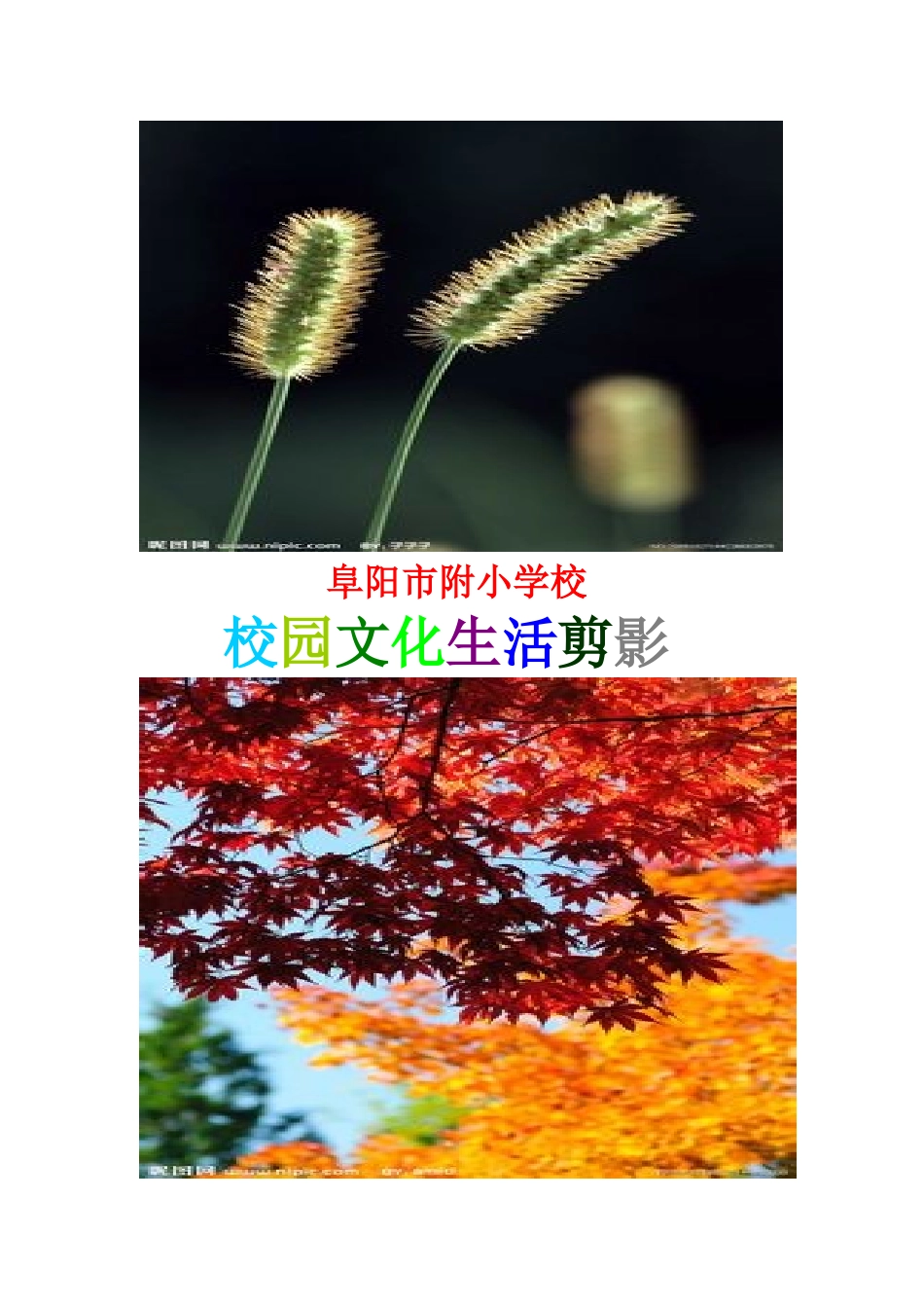 阜阳市附小学校_第2页