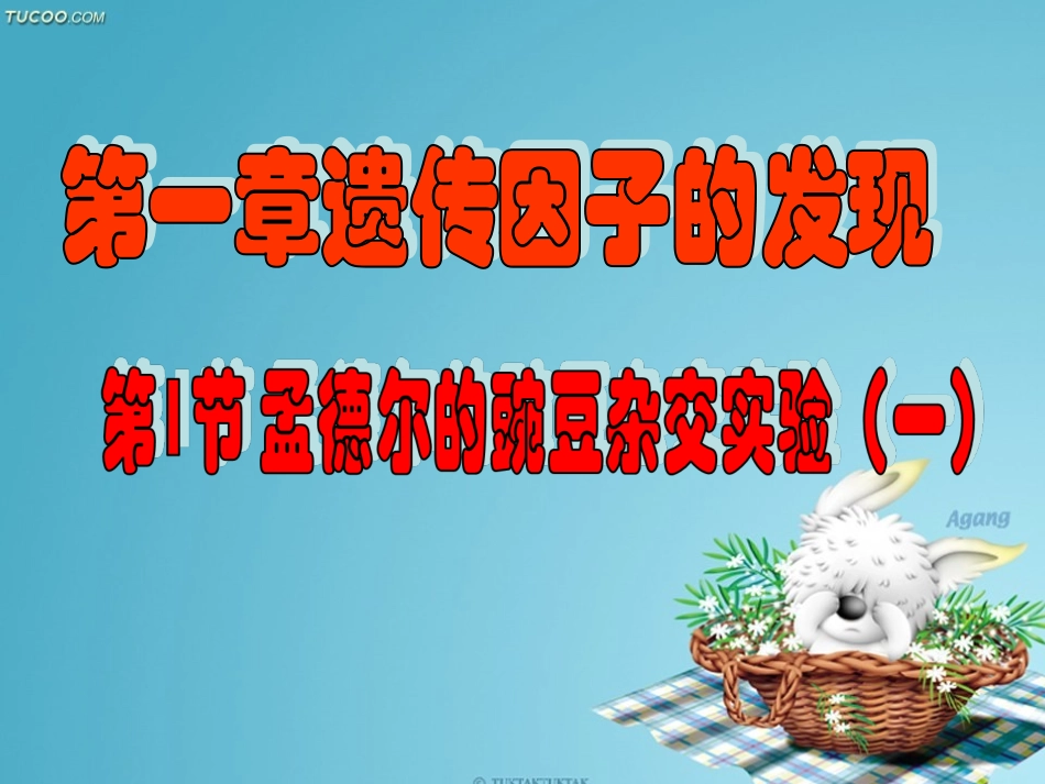 孟德尔的豌豆杂交实验一_第1页