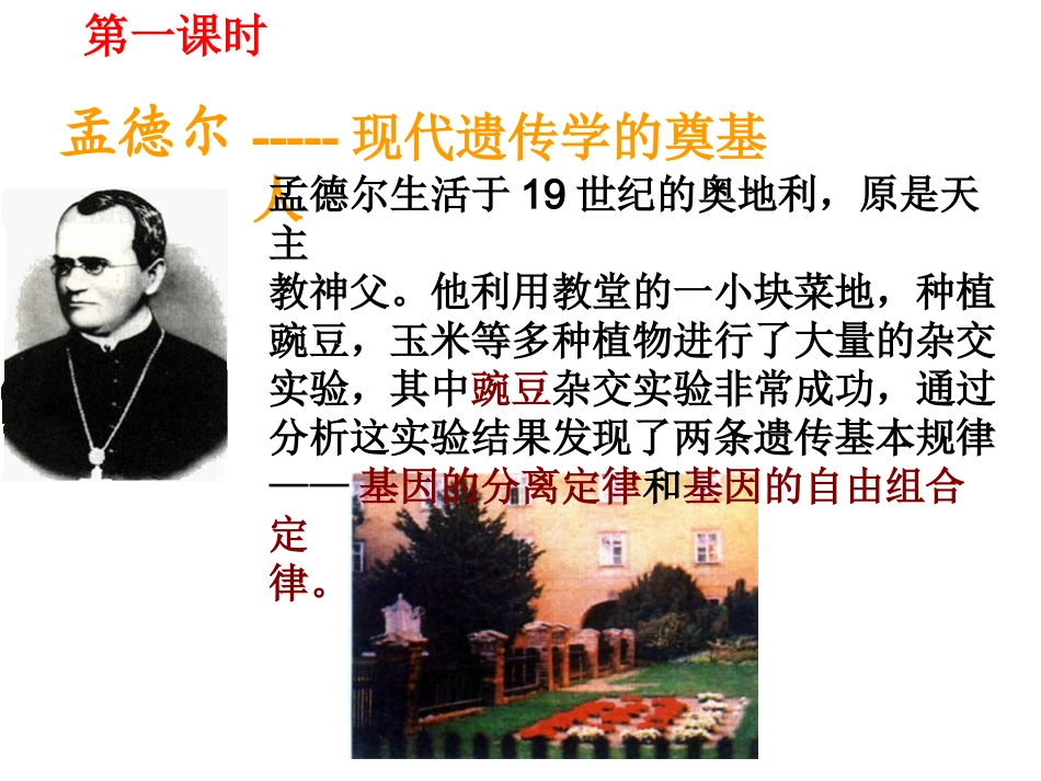 孟德尔的豌豆杂交实验一_第2页