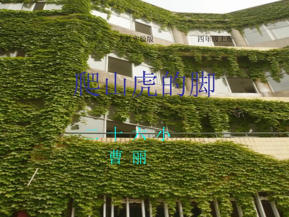 《爬山虎的脚》（改进后）_第1页