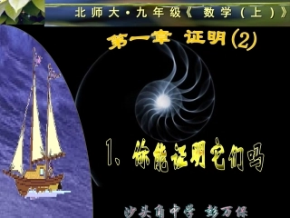 北师大九年级上11你能证明它们吗(1)课件