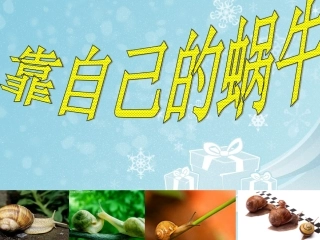 靠自己的蜗牛