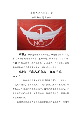 班徽介绍词及班训