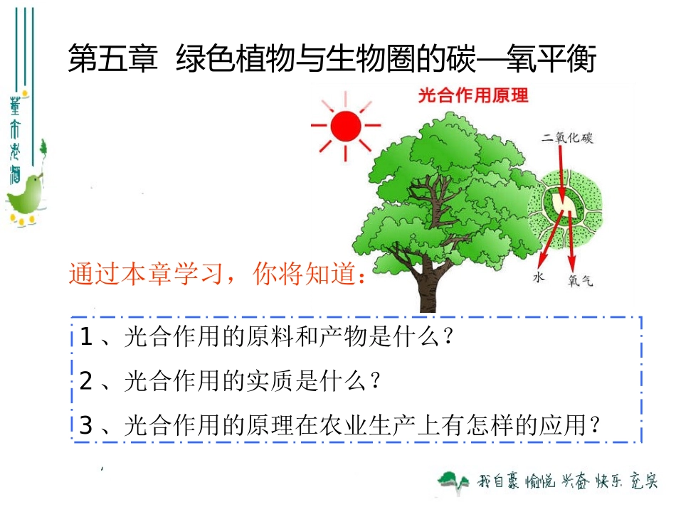 最新人教版351光合作用吸收二氧化碳释放氧气_第1页