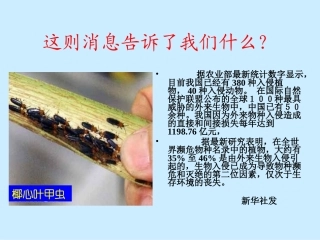 生物入侵者上课用
