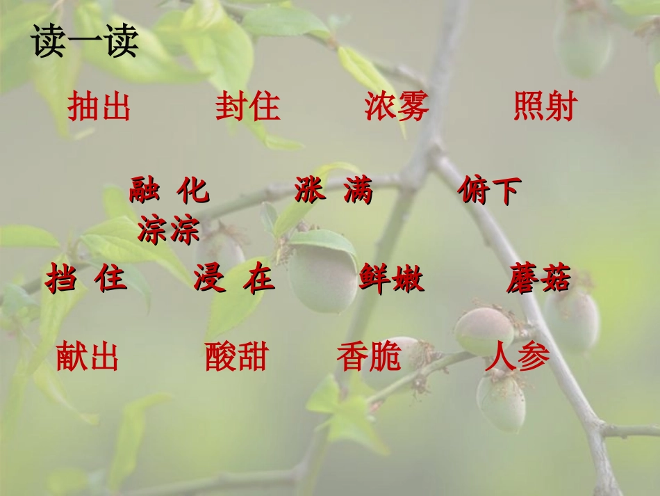 美丽的小兴安岭PPT (2)_第2页