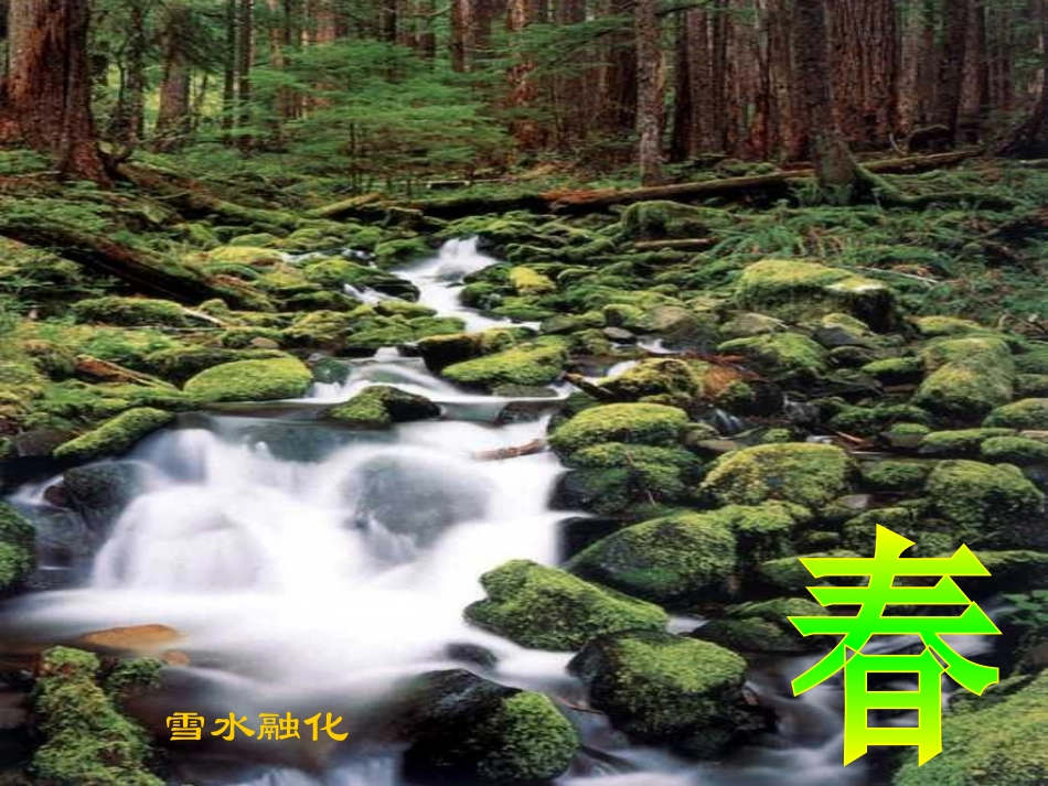 美丽的小兴安岭PPT (2)_第3页