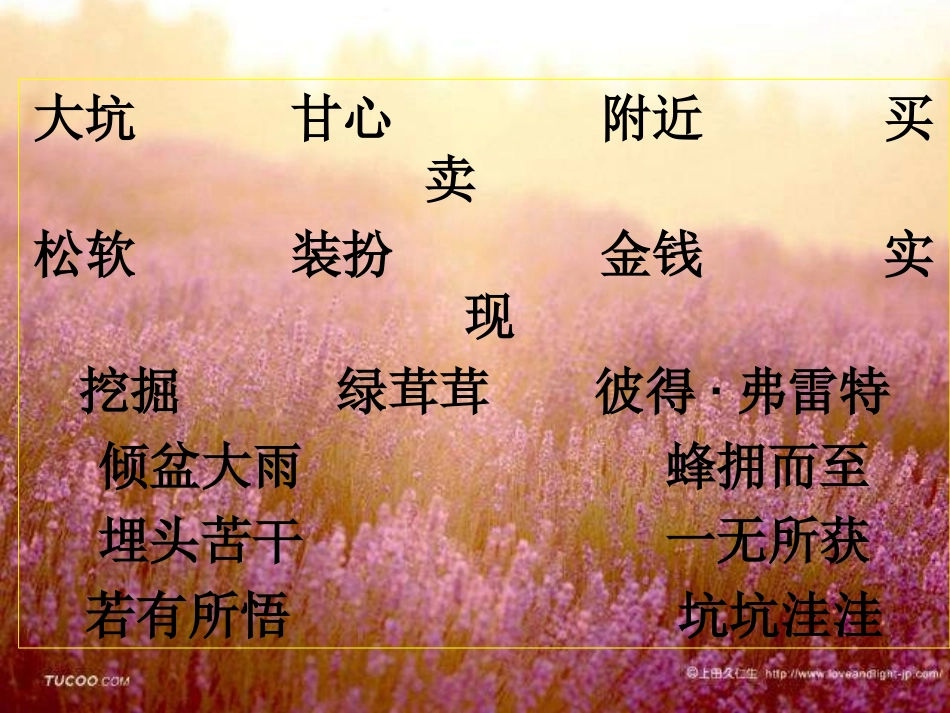 苏教版三年级上册《金子》第二课时用_第2页