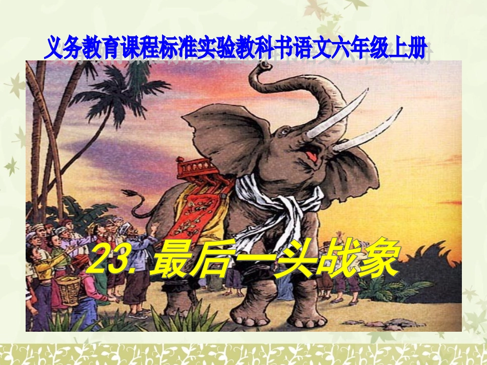 《最后一头战象》课件_第1页