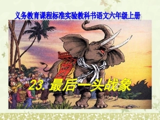 《最后一头战象》课件