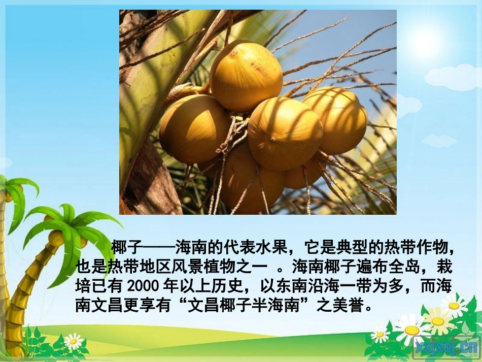 椰岛果香，陈晓莉_第1页