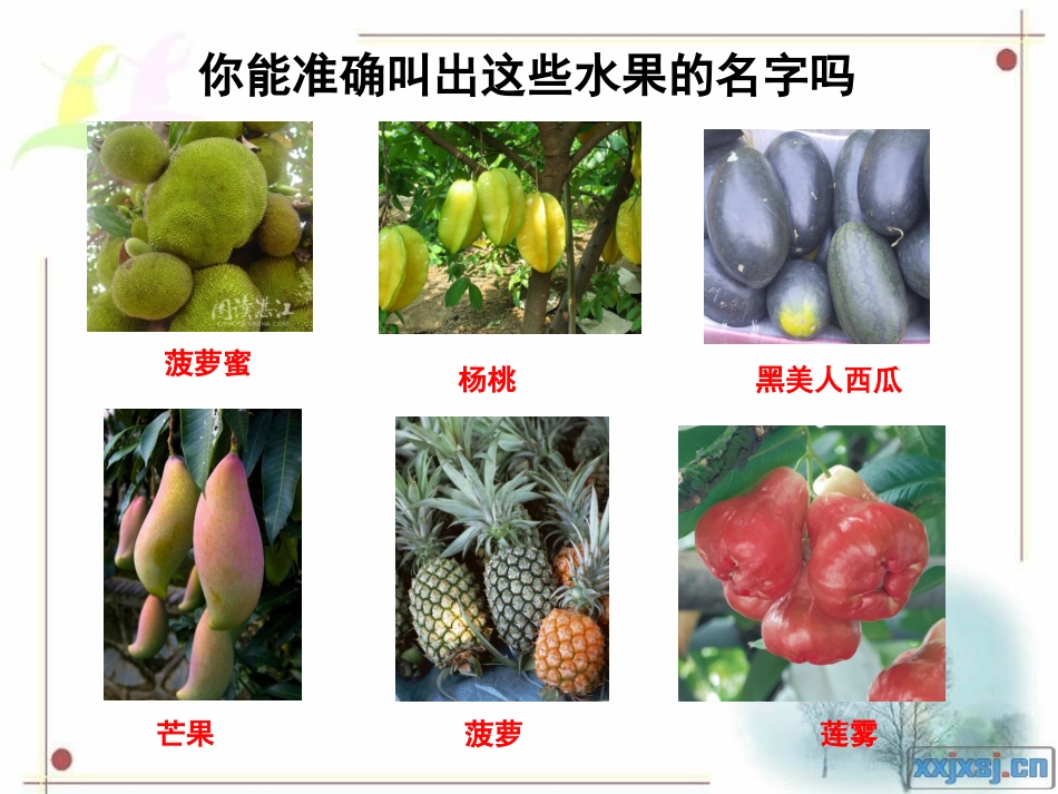 椰岛果香，陈晓莉_第3页