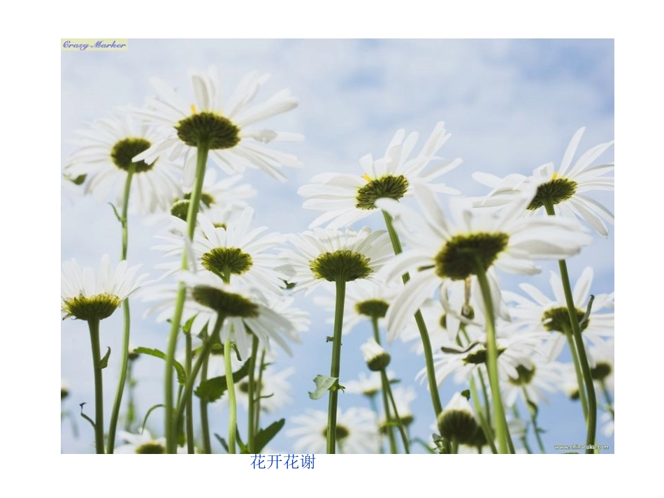 化学反应的方向_第2页