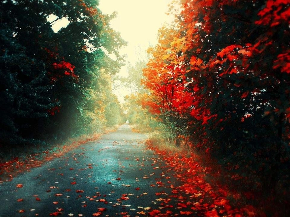 课件《西风的话》 (2)_第2页