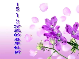 分式的基本性质 (3)