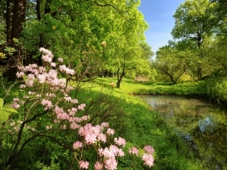 大家都说普通话_