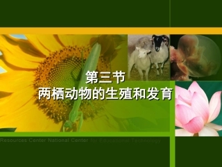 两栖动物的生殖和发育课件