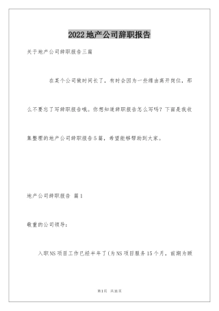 2024地产公司辞职报告_9