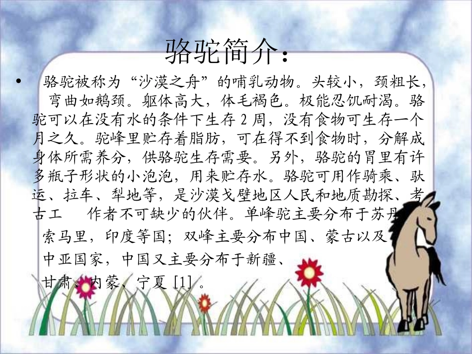 《找骆驼》PPT课件 (2)_第3页