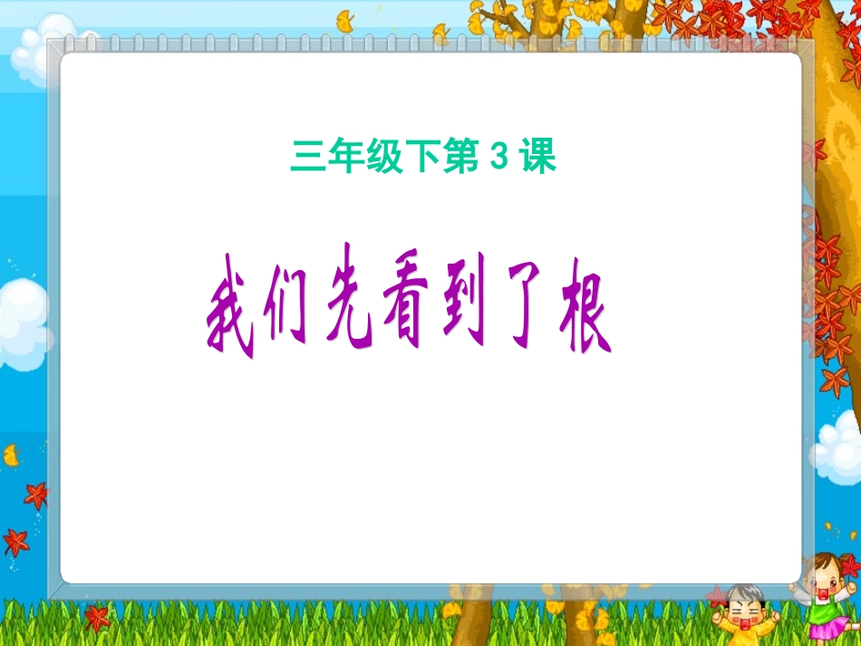 《我们先看到了根》课件_第1页