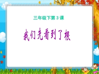 《我们先看到了根》课件