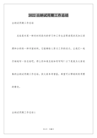 2024出纳试用期工作总结_9