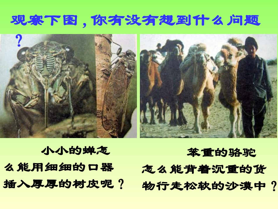 初三物理《压强》_第3页