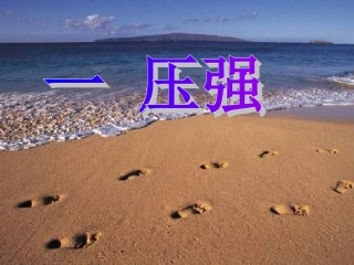 初三物理《压强》
