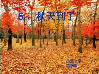 （苏教版）二年级品德与生活上册课件秋天到了1