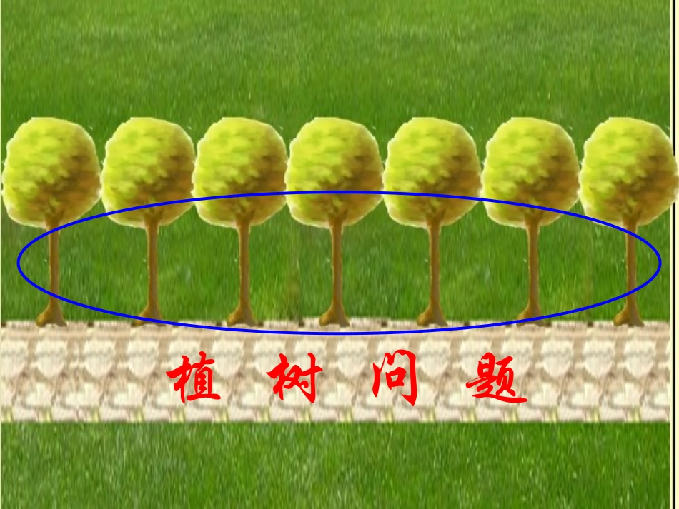 植树问题 (4)_第3页