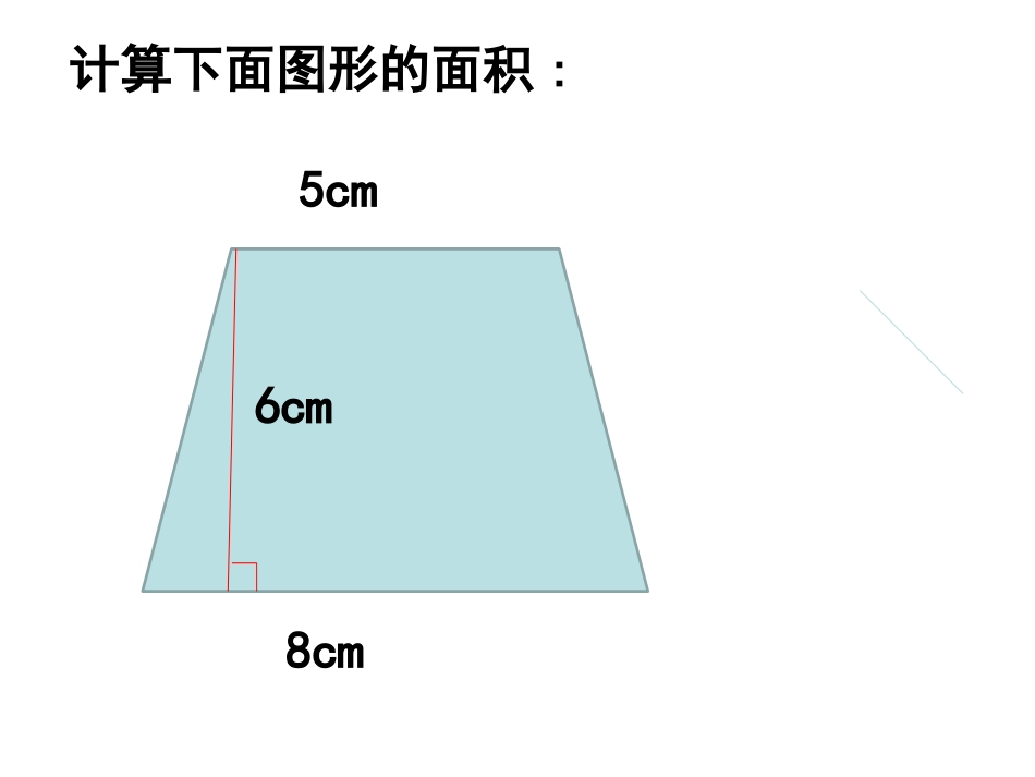 王维涛五年级（上册）多边形面积的计算问题解决_第2页