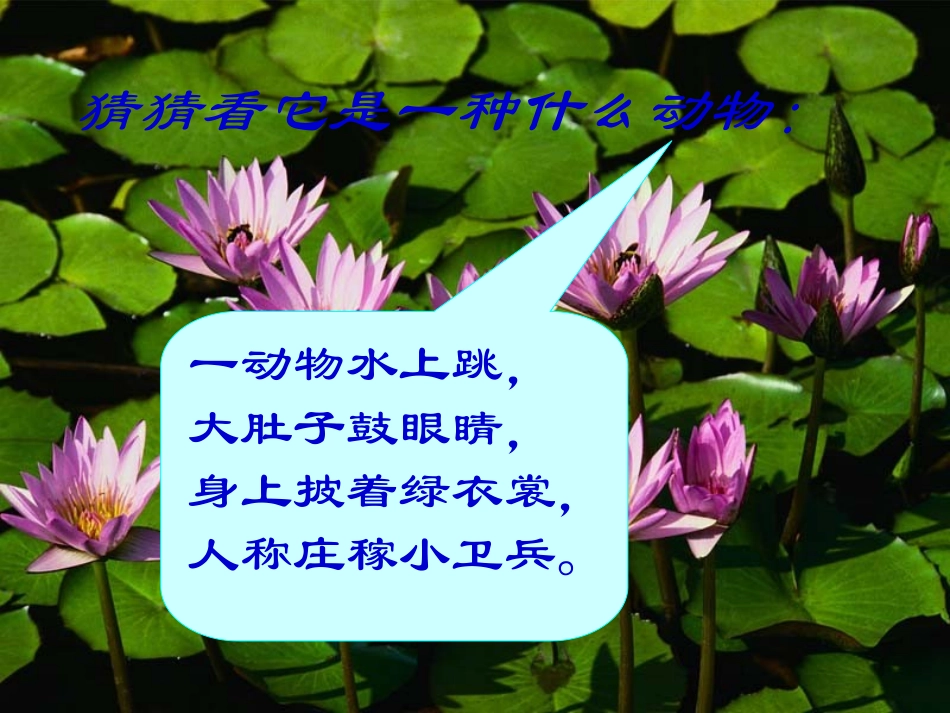 《庄稼小卫兵》_第1页