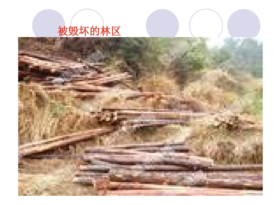 我们面临的重要课题课件_第3页