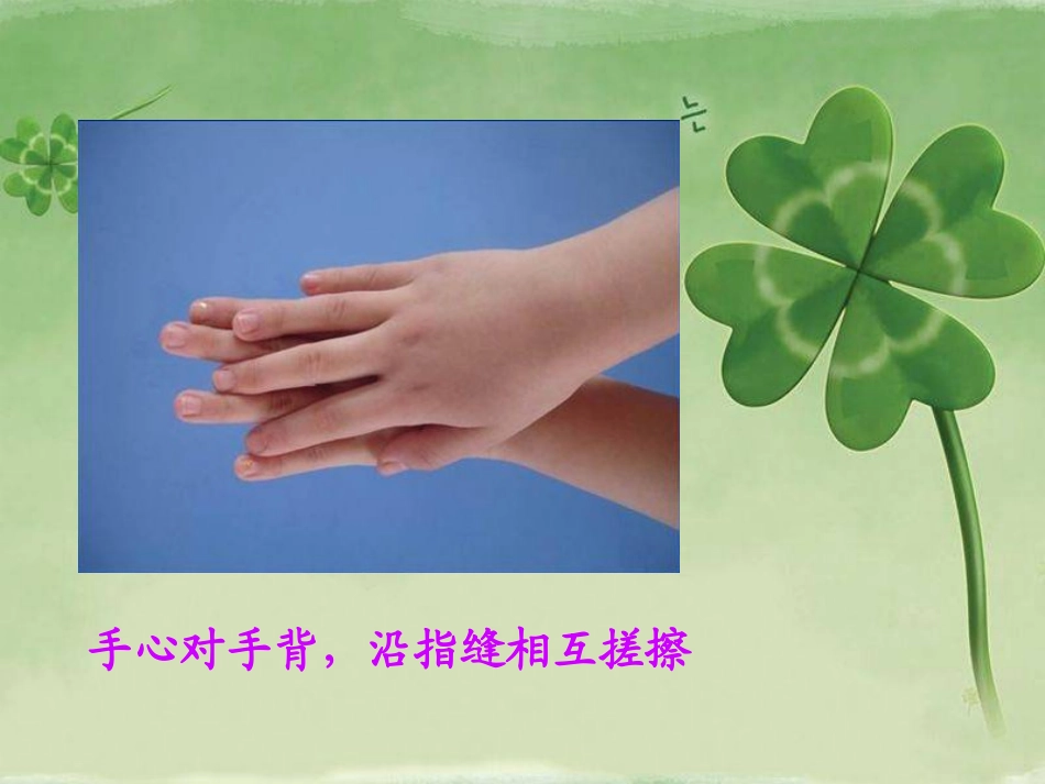 手的清洁与卫生课件_第3页