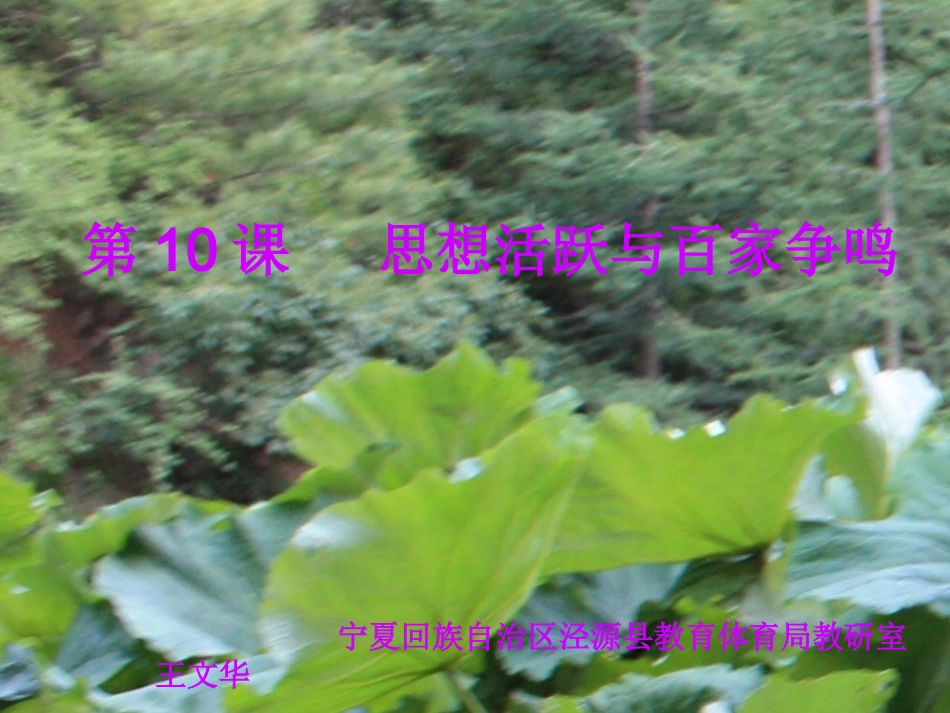 《中华文化的勃兴（二）》教学设计_第1页